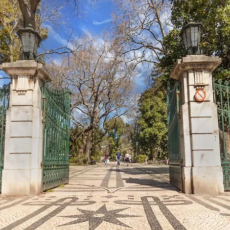 Lägenhet Sao Bento Gallery Lisboa